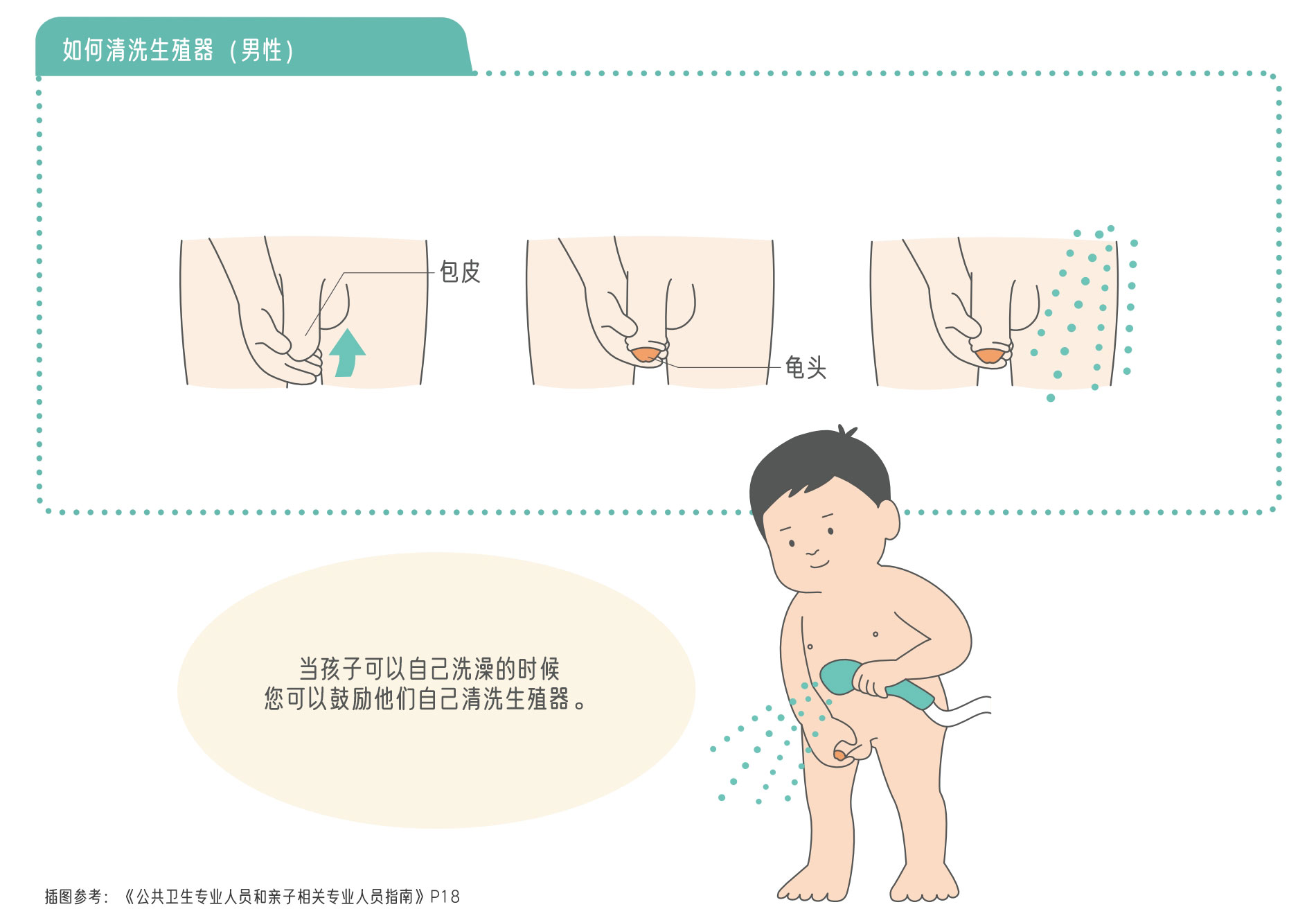 ✍️加餐07-1丨生殖器系统名称及如何清洗[参考插图]（家长可根据孩子年龄和理解调整措辞）